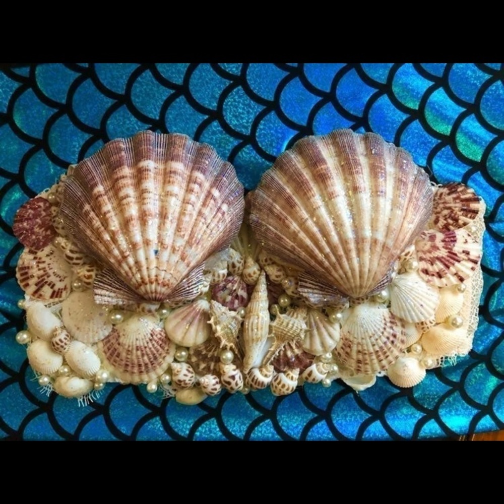 Mermaid shell bra